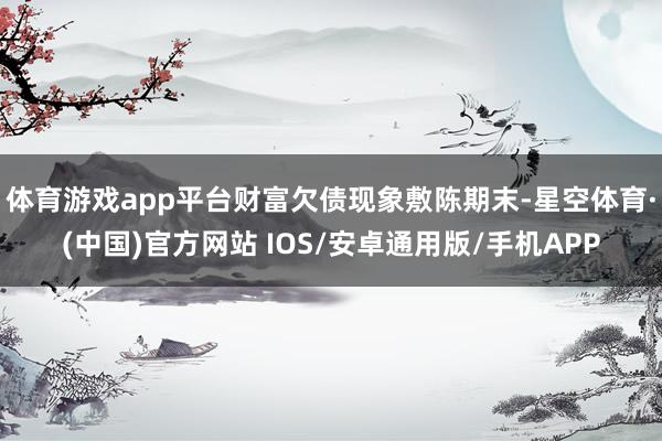体育游戏app平台财富欠债现象敷陈期末-星空体育·(中国)官方网站 IOS/安卓通用版/手机APP