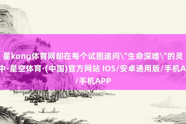 星kong体育网却在每个试图追问