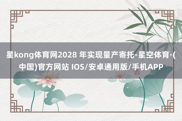 星kong体育网2028 年实现量产寄托-星空体育·(中国)官方网站 IOS/安卓通用版/手机APP