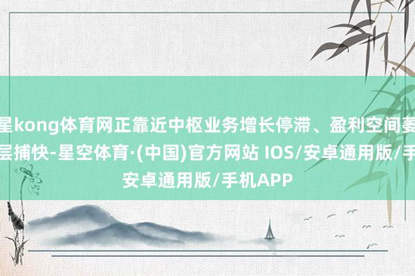 星kong体育网正靠近中枢业务增长停滞、盈利空间萎缩的深层捕快-星空体育·(中国)官方网站 IOS/安卓通用版/手机APP