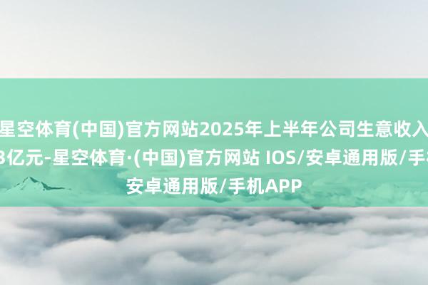 星空体育(中国)官方网站2025年上半年公司生意收入为9.33亿元-星空体育·(中国)官方网站 IOS/安卓通用版/手机APP
