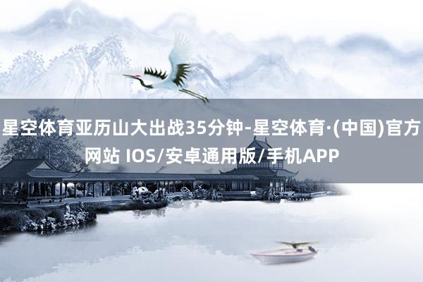 星空体育亚历山大出战35分钟-星空体育·(中国)官方网站 IOS/安卓通用版/手机APP